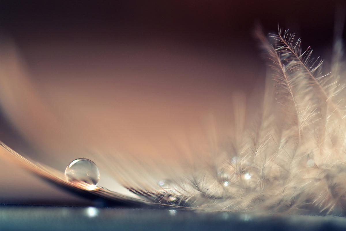 aluminium-print-stories-of-drops