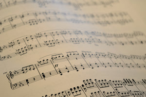 canvas-print-the-music-notes