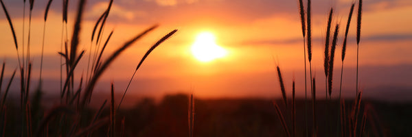 panoramic-3-piece-canvas-print-adorable-sunset-panorama