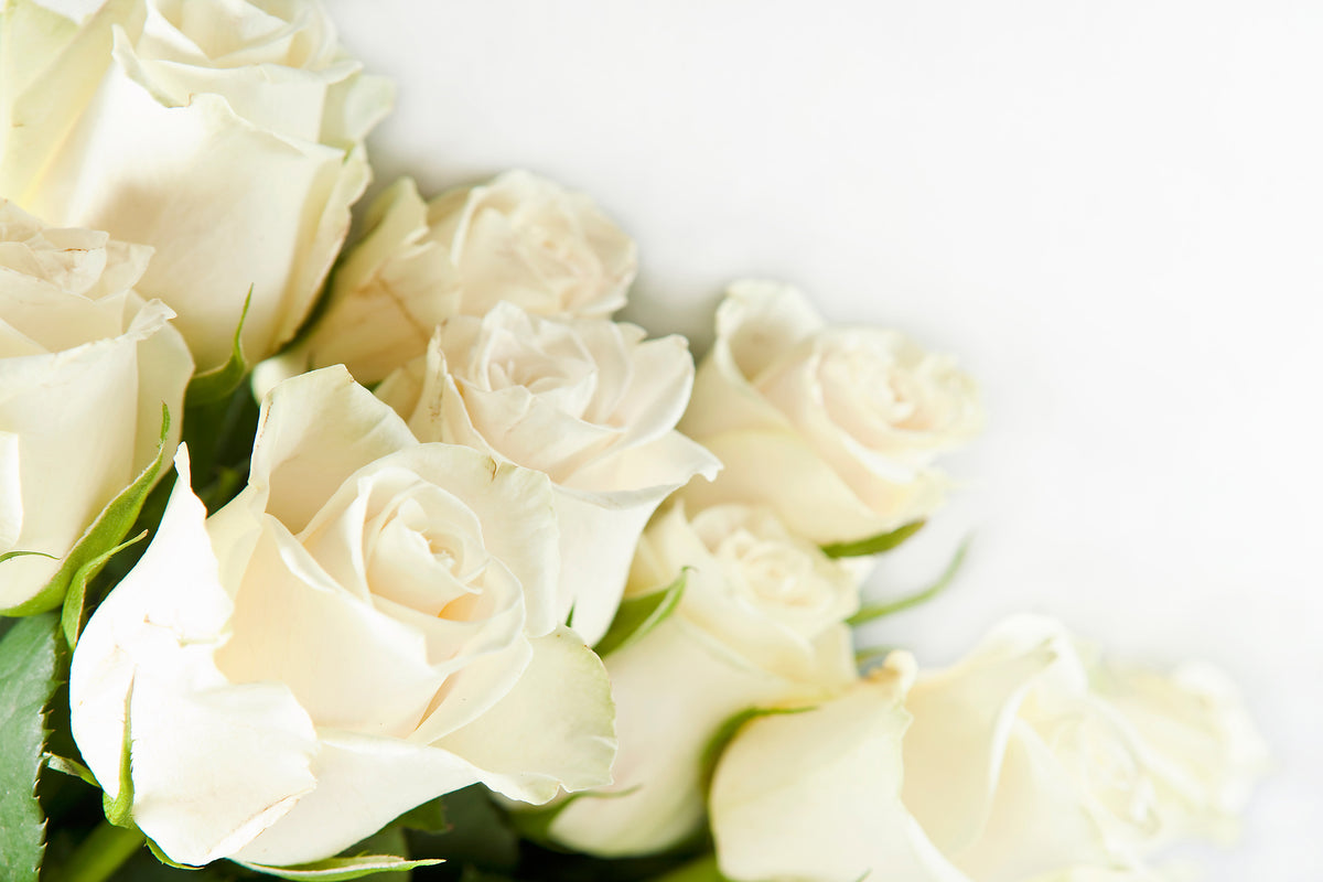 modern-3-piece-canvas-print-white-roses