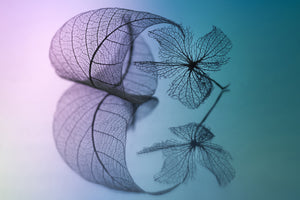 3-piece-acrylic-print-story-of-leaf-and-flower