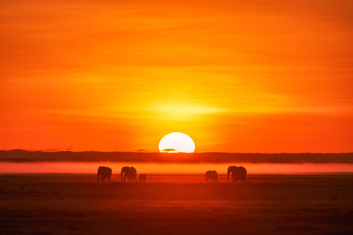 poster-print-africa-impression-x
