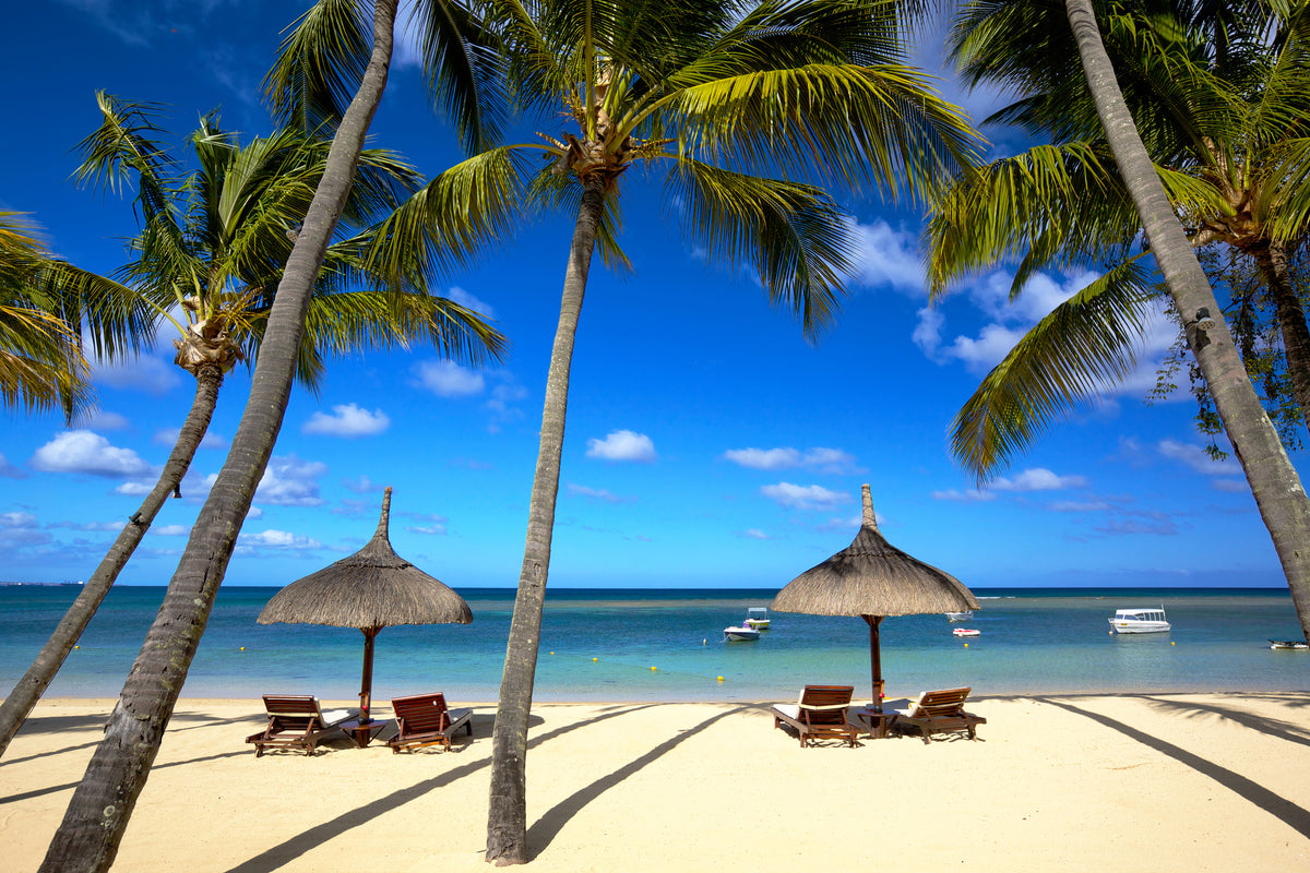 framedcanvas-print-mauritius