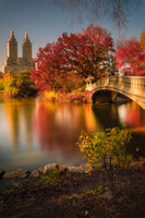 framedposter-print-fall-in-central-park-x