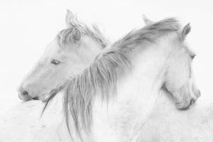 framedposter-print-horses