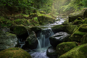 poster-print-calming-view