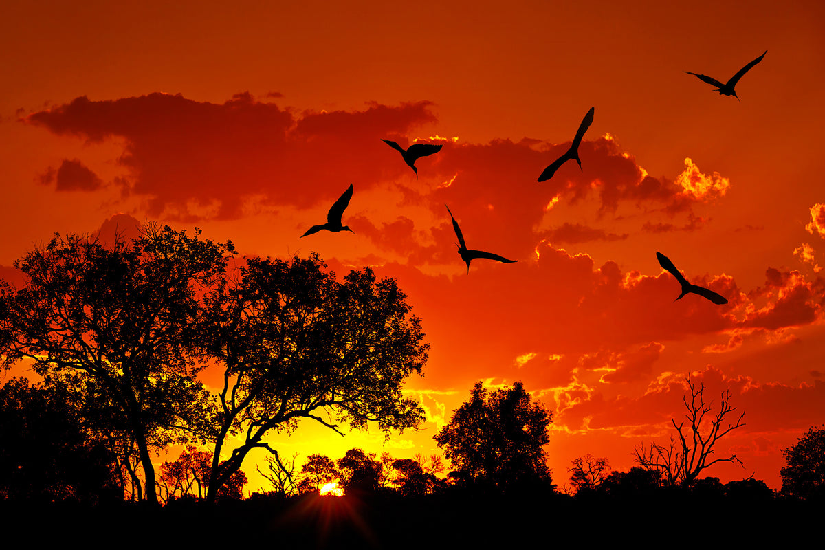 acrylic-print-african-feeling
