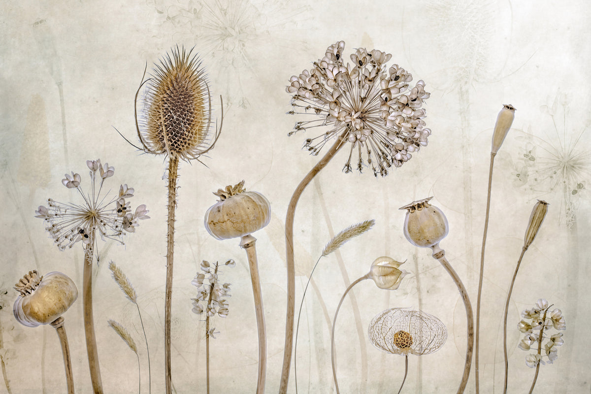 modern-3-piece-acrylic-print-growing-old