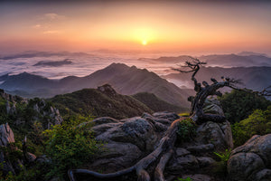 acrylic-print-sunrise-on-top-x