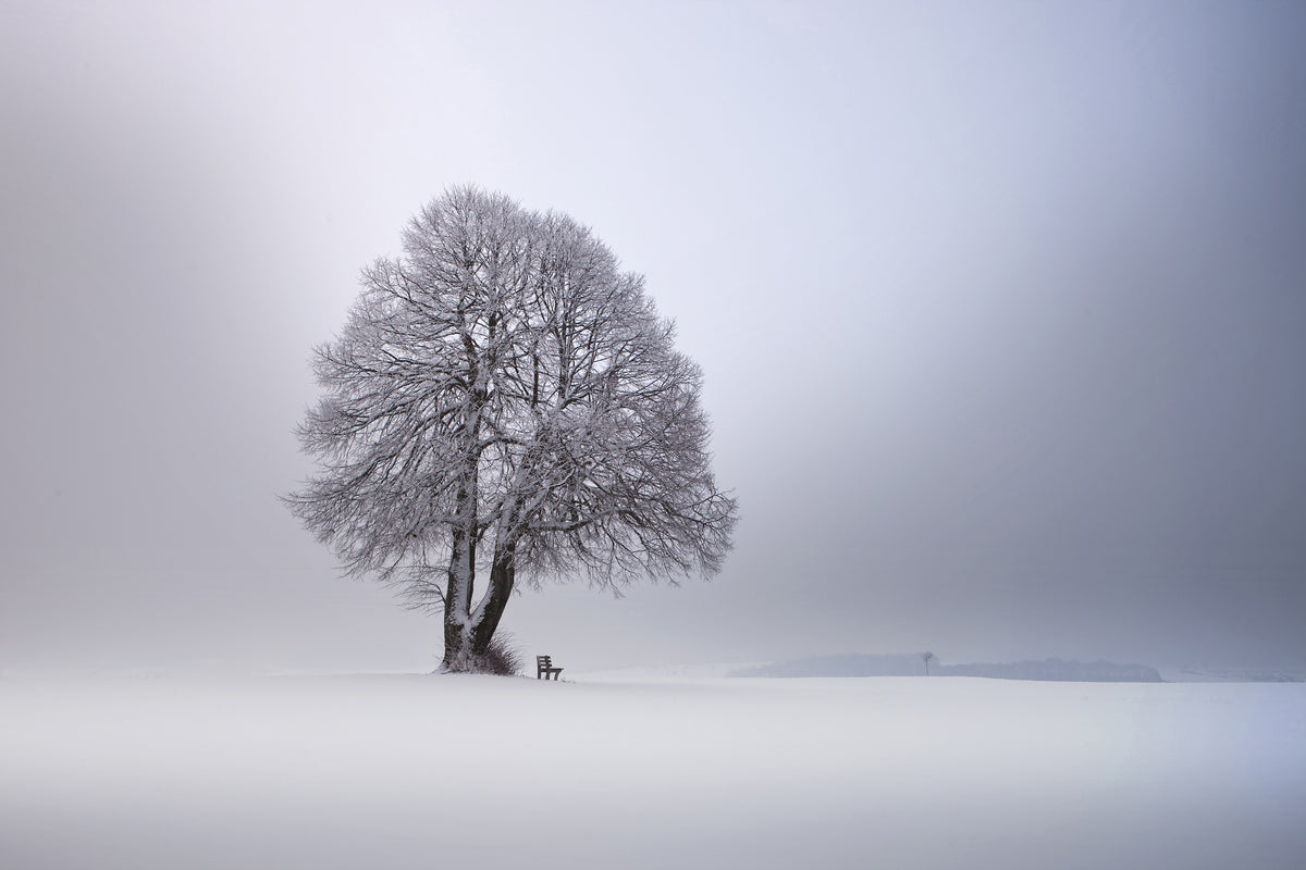 canvas-print-winter-light-xpy