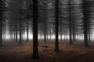 acrylic-print-silence-ii