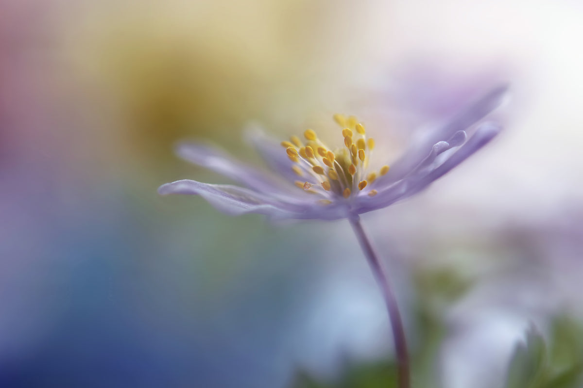 modern-3-piece-canvas-print-springtime-watercolor