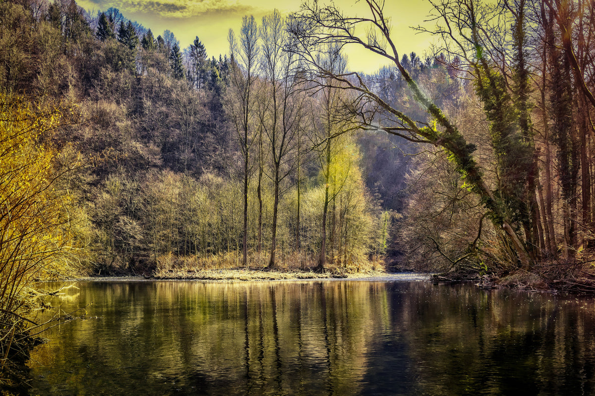 modern-3-piece-canvas-print-lake-in-the-forest