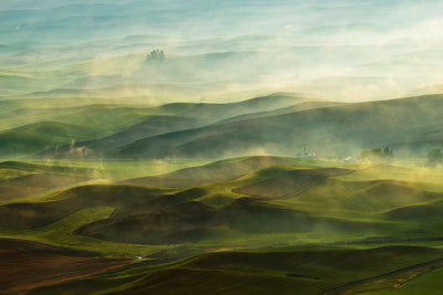 poster-print-golden-morningpalouse-x