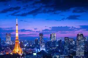 framedcanvas-print-tokyo-night-view