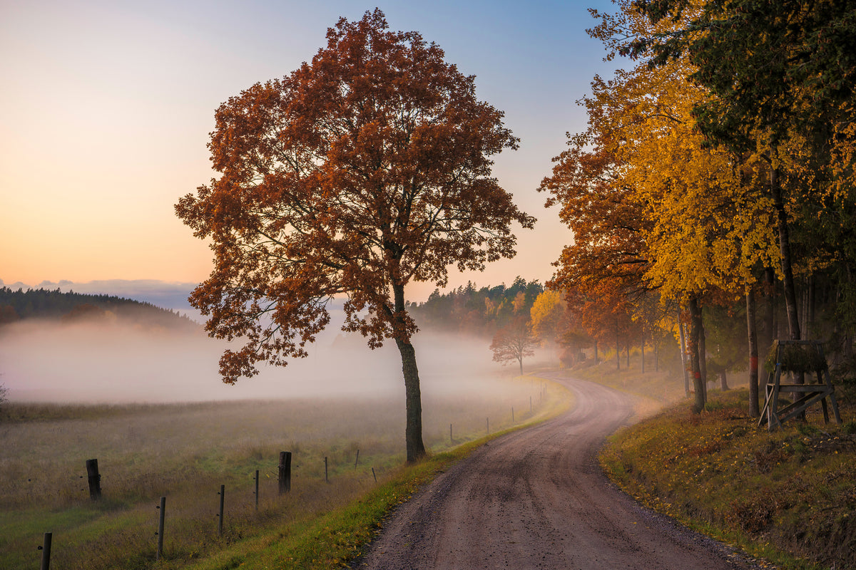poster-print-countryside-vibes-x