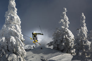 framedposter-print-ski-is-life-x
