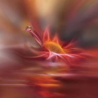 canvas-print-song-of-my-soul
