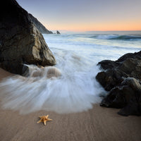 poster-print-summer-flux