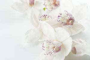 canvas-print-fantastic-orchids