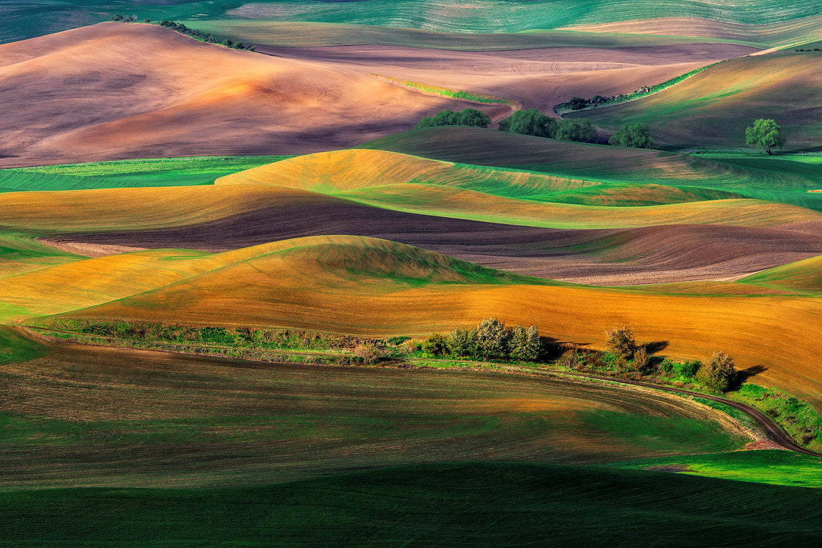 modern-3-piece-acrylic-print-the-palouse