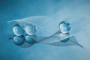 canvas-print-dry-leaf-and-bubbles-x