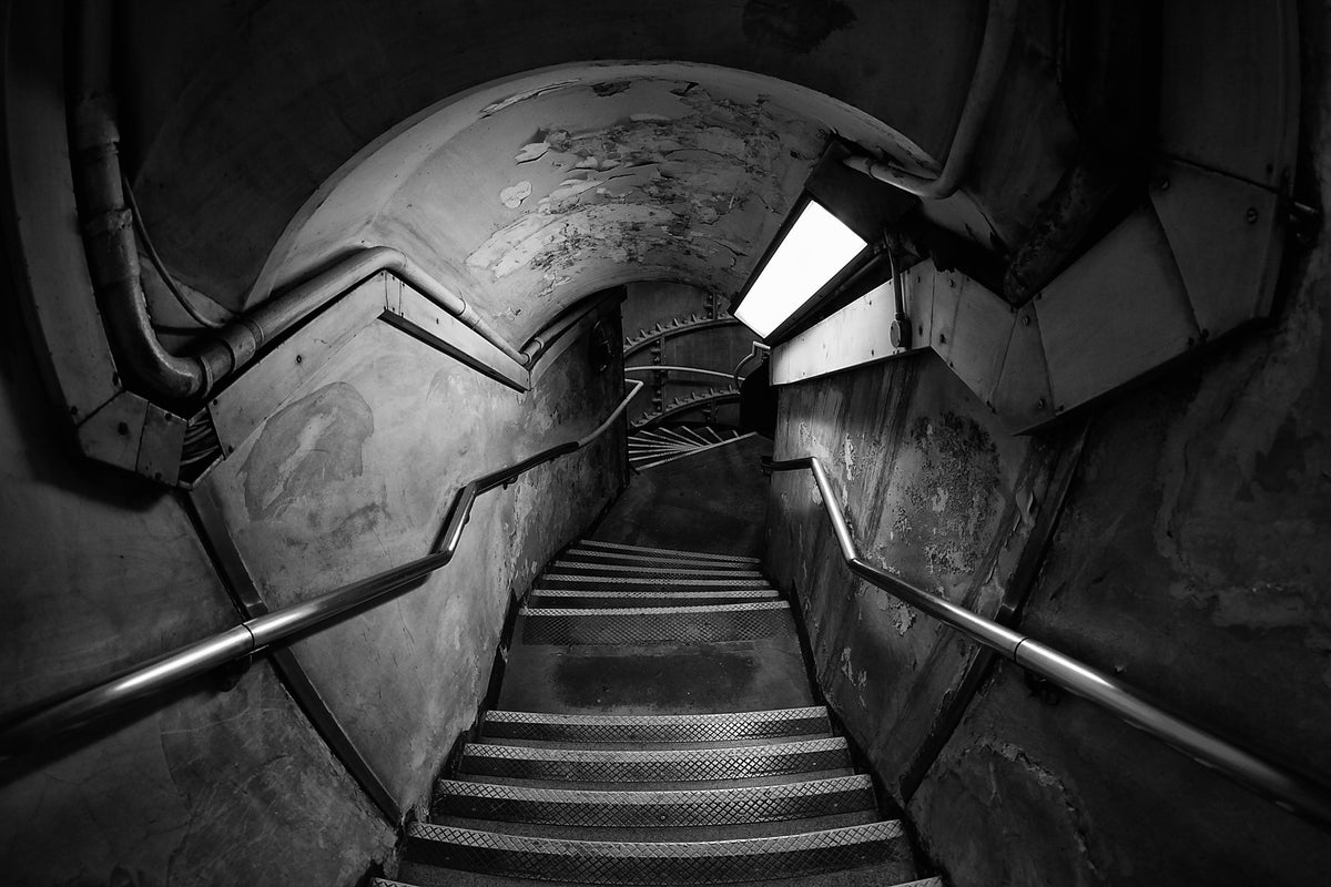 canvas-print-down-the-rabbit-hole-x