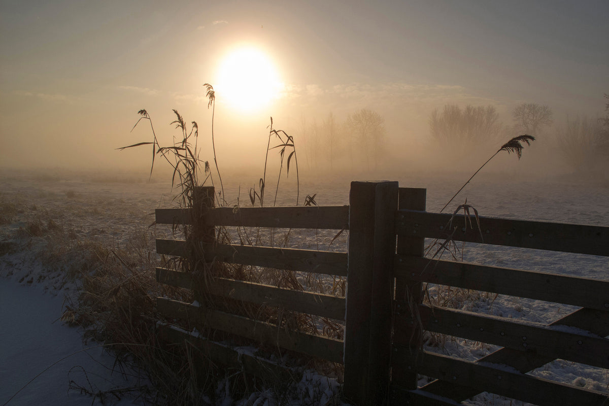 framedcanvas-print-winter-mood
