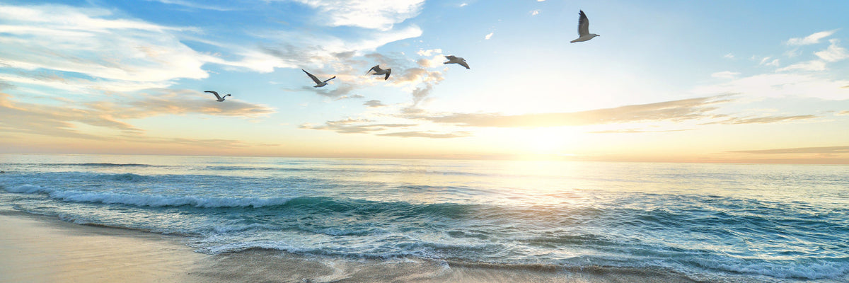 panoramic-3-piece-aluminium-print-the-seagulls-and-the-sea-at-sunrise-31-panorama
