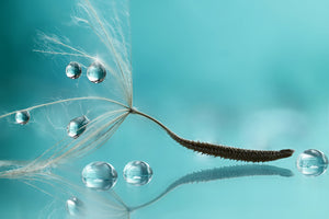 framedposter-print-water-x