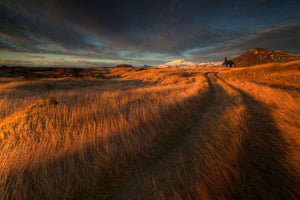 aluminium-print-the-long-winding-road-x