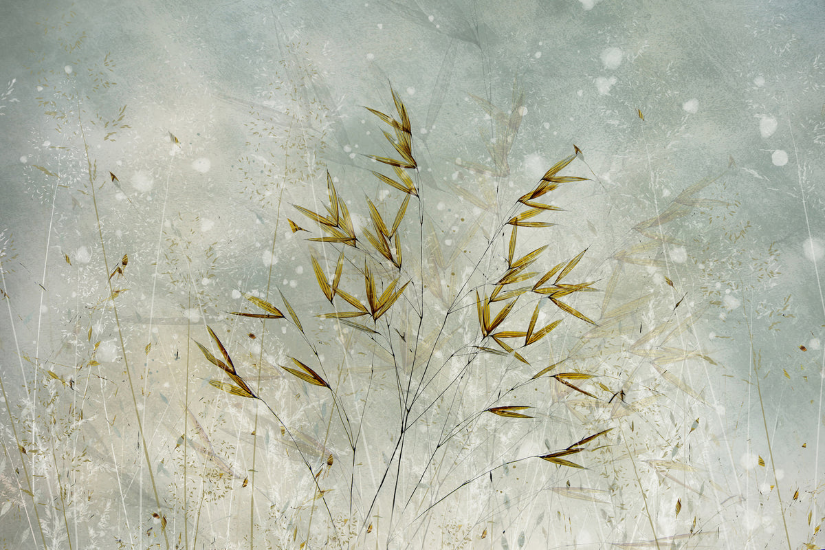 acrylic-print-wintertime-x