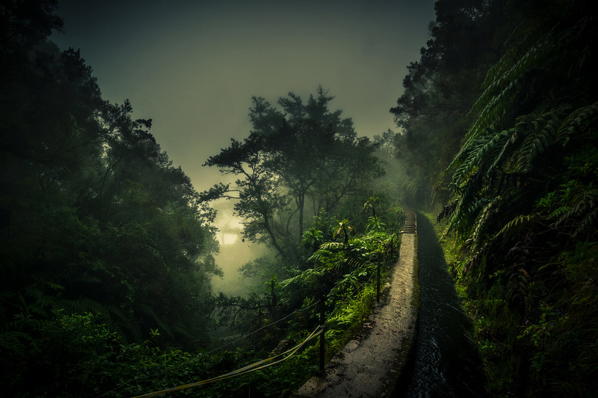 aluminium-print-levada-walk-x