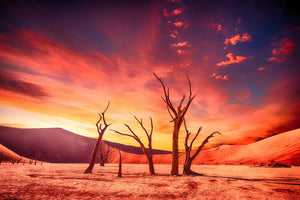 3-piece-canvas-print-colorful-desert