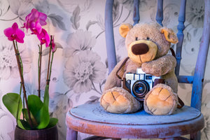 aluminium-print-camera-teddy-bear