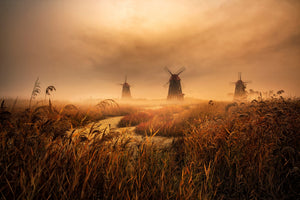 framedposter-print-a-fascinating-morning-x