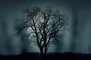 modern-3-piece-aluminium-print-the-tree-in-darkness