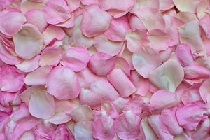 3-piece-acrylic-print-rose-petals-in-pink-ii