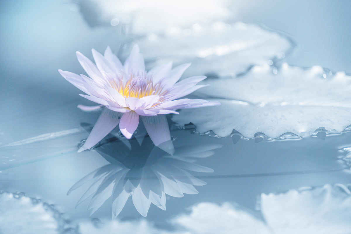 aluminium-print-reflection-xbu