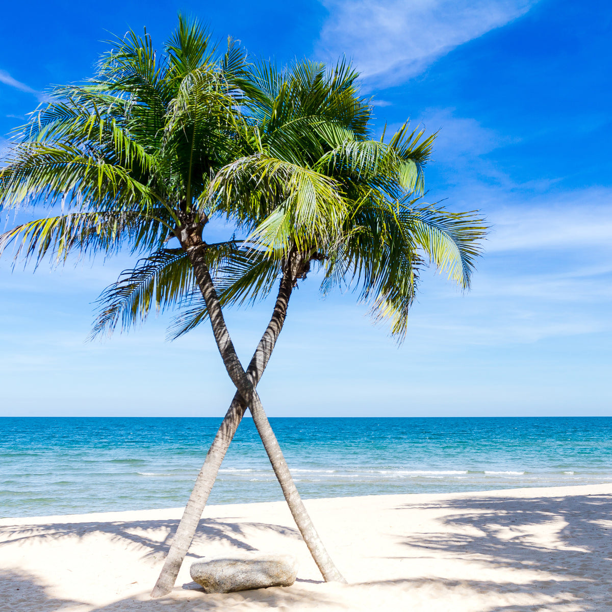 acrylic-print-dream-beach-caribbean