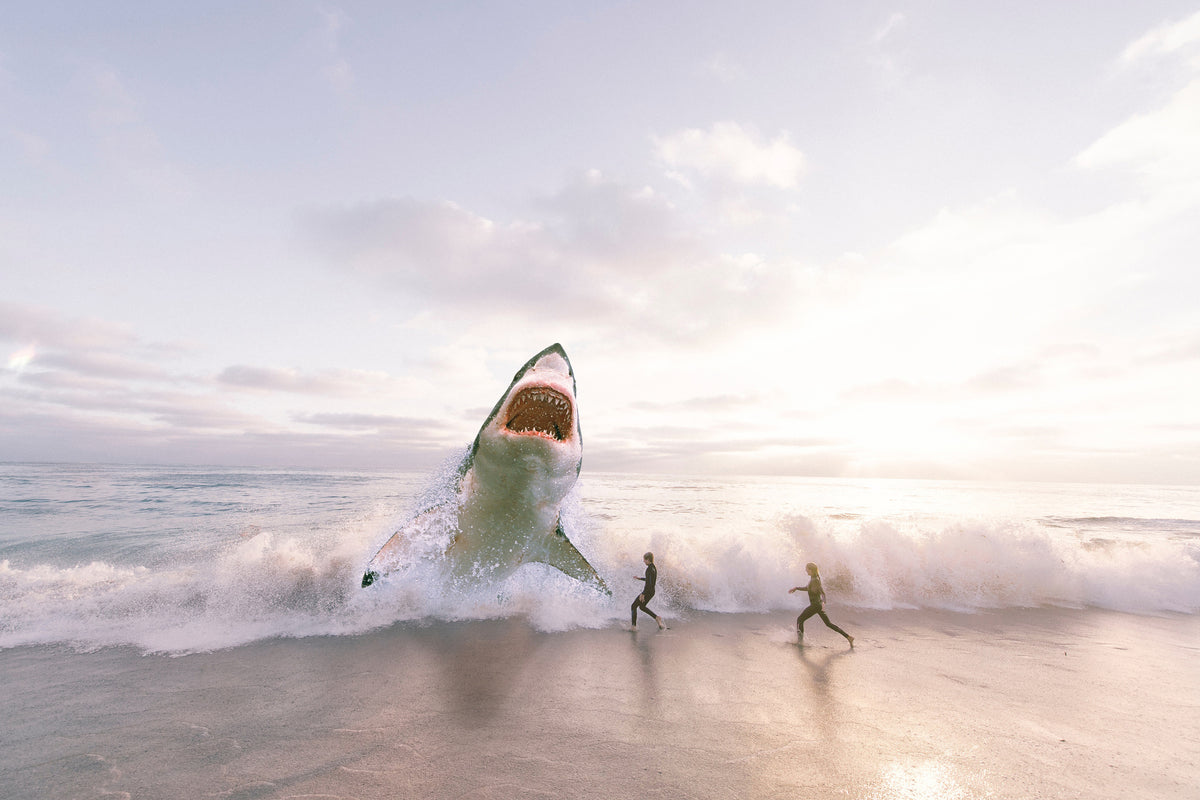 3-piece-canvas-print-beware-shark