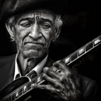 poster-print-the-guitarist