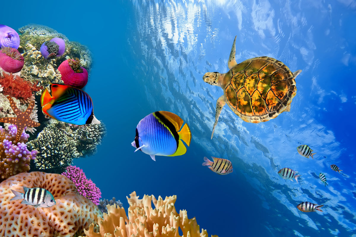 canvas-print-fish-in-the-water