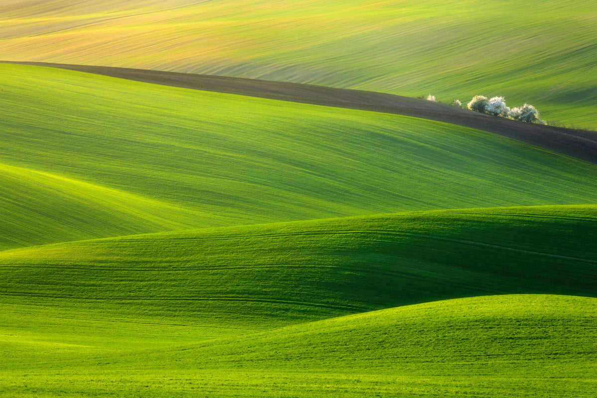 aluminium-print-spring-time-x