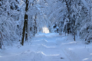 aluminium-print-finally-winter