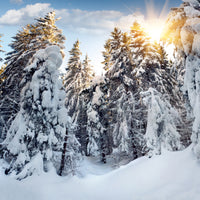 9-piece-canvas-print-fir-in-snow