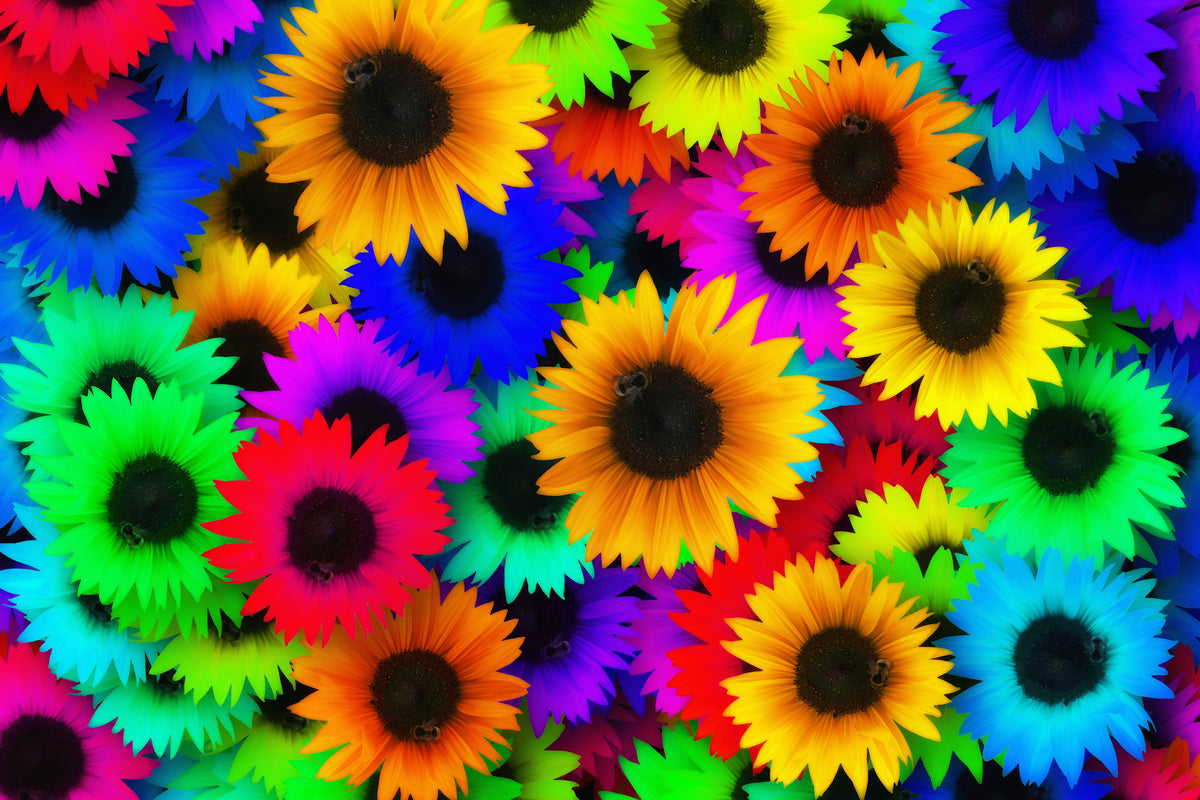 3-piece-acrylic-print-colorful-sunflowers