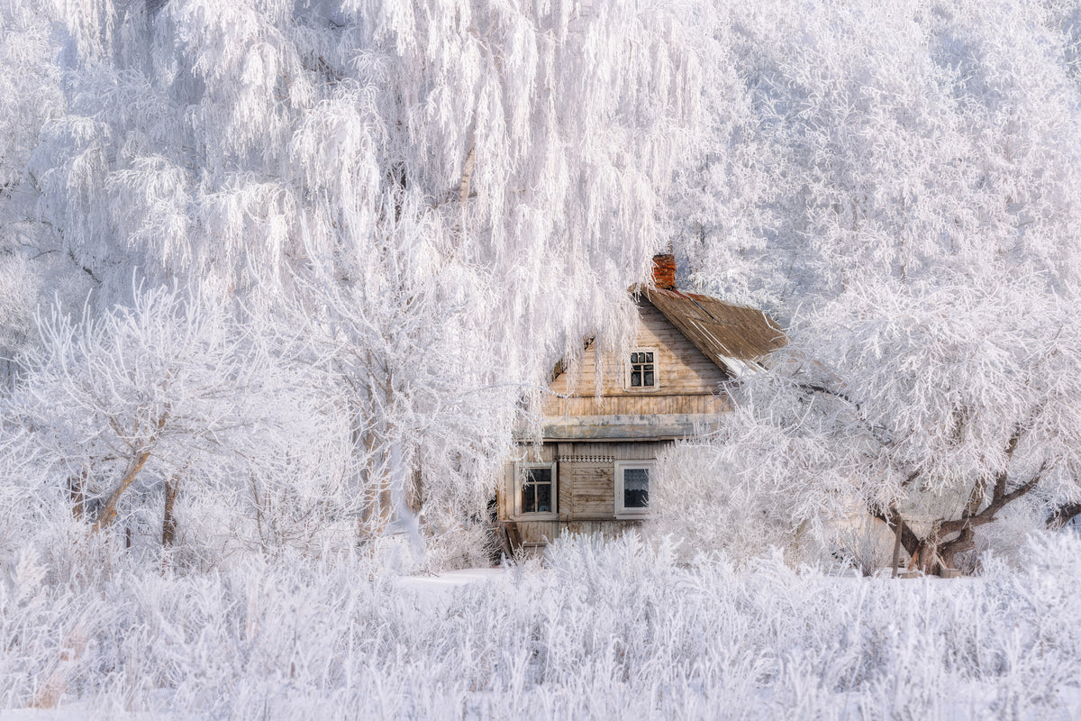canvas-print-winter-tale-x