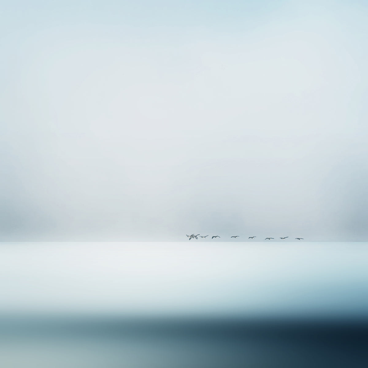 9-piece-aluminium-print-wild-geese