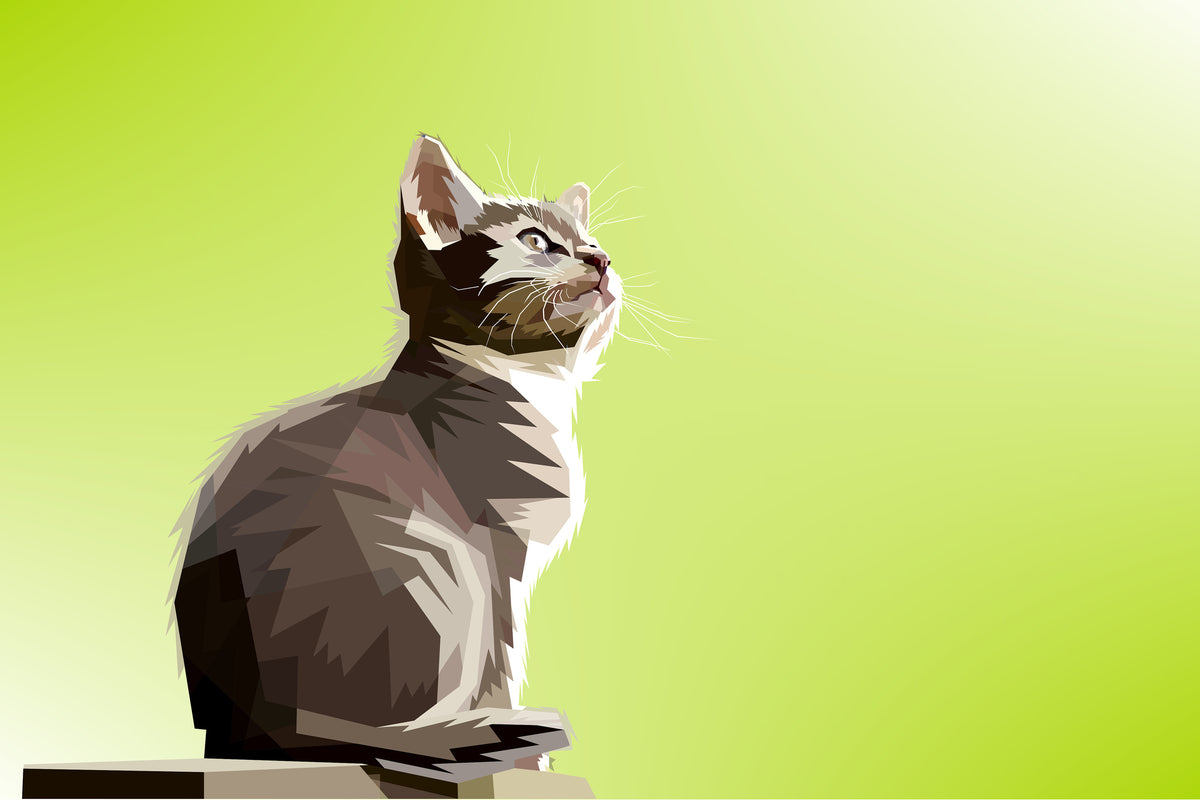 3-piece-aluminium-print-pop-art-cat-xl
